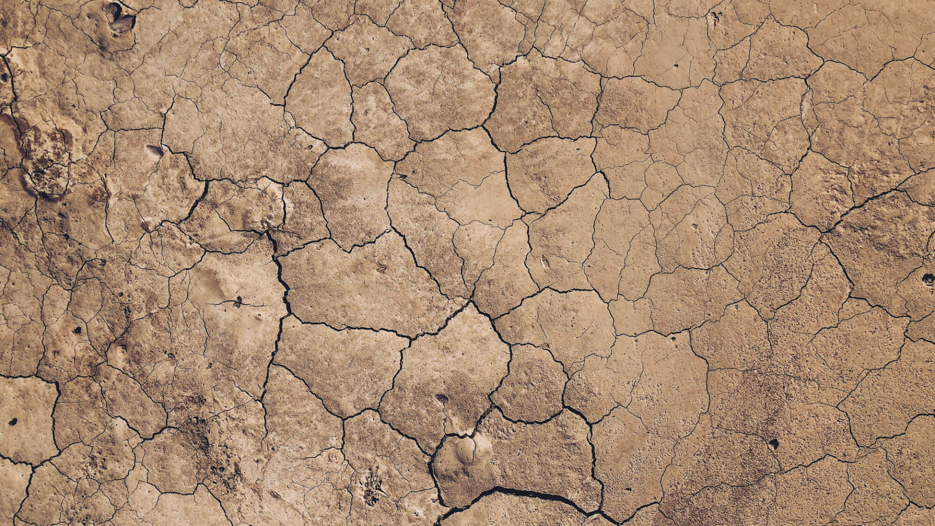 PIK Potsdam-Institut für Klimafolgenforschung, Klimawandel, Dürre und Trockenheit