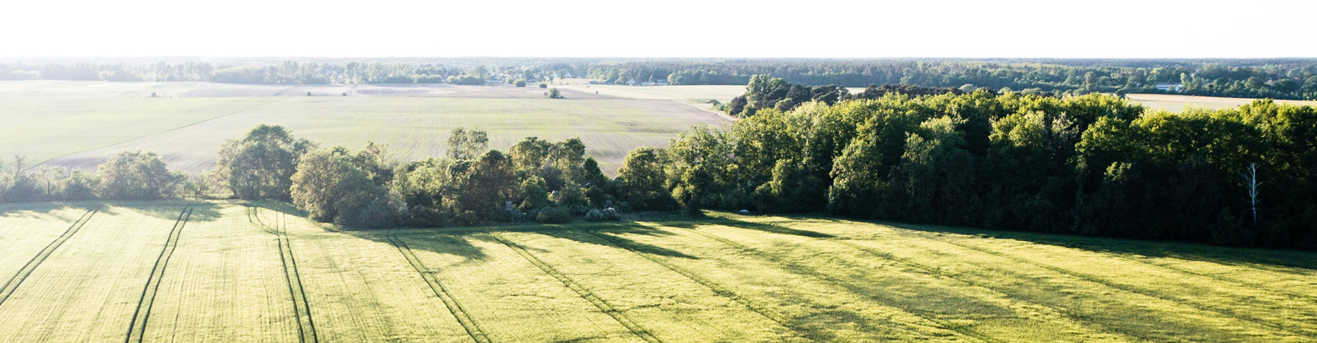 Landschaft in Brandenburg