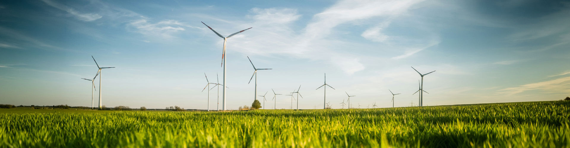 Windräder auf einem Feld in Brandenburg als Symbol für erneuerbare Energie