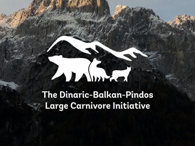 Logo der Dinaric-Balkan-Pindos Large Carnivore Initiative vor Berglandschaft