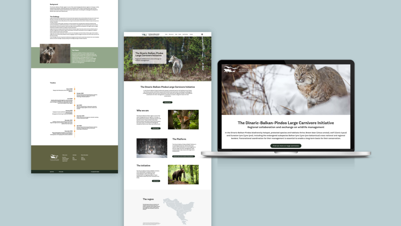 Webdesign der Large Carnivore Initiative mit responsiver Darstellung auf Desktop und Layoutübersicht