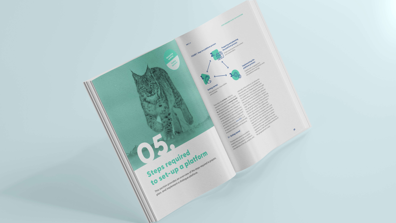 Editorial Design einer Publikation mit Illustration eines Luchses und Infografiken