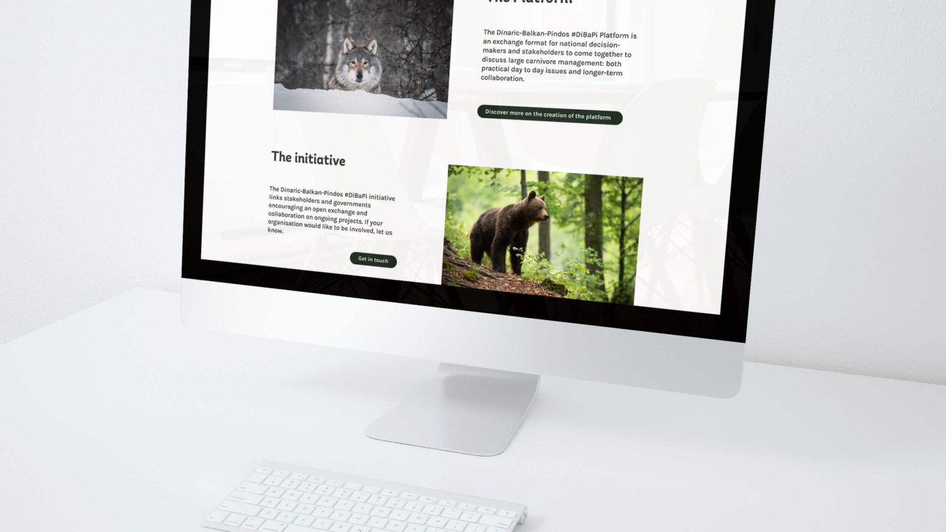 Website der Large Carnivore Initiative auf Desktop mit Inhaltsseiten zu Plattform und Initiative